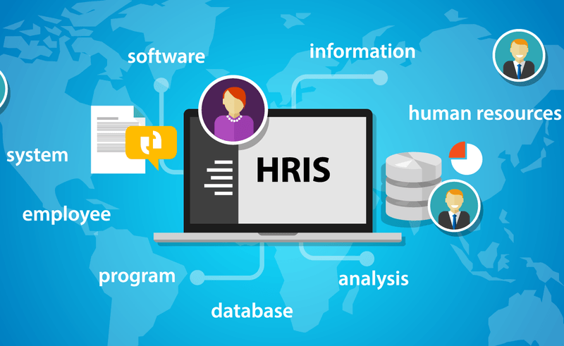 Hr reporting reports report analytics instant bamboohr insights fingertips detailed right Best practices for HRIS data management and reporting